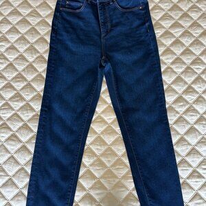 Ann Taylor High Rise Skinny Jeans - Size 2, Dark Vintage Wash